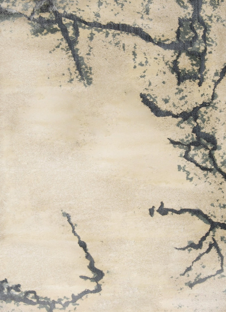 Ursula Edgcumbe RUG
