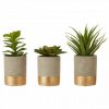 Stadium Set Of 3 Grey Pot Succulents
